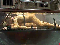 Cassie and Kylie Wilde enjoy being tortured and drowned by a mistress