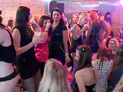 Sassy natural tits model giving dick blowjob in party
