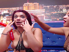 Adorable lesbians show you their aggressive pussy eating