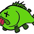 Аватар пользователя info@dwarenuvl.cc